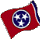 TNFlag