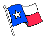 Texas Flag 