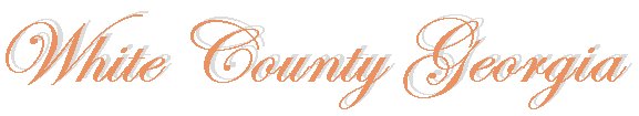 logo — Company B, 52d Regiment Georgia Volunteer Infantry Army of Tennessee C.S.A