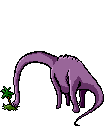 dinosaur — Somervell County Texas Genealogy