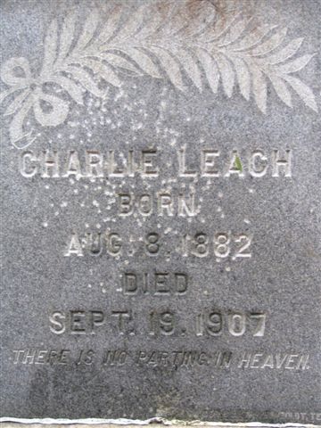 leach c2 — Friendship (Nauvoo) CemeteryDyer Co., TN