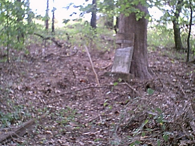 Photograph of Self Cemetery, Dyer County, Tennessee