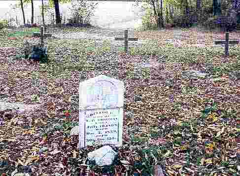 DeliaG — The Goodman Cemetery of the Whiteway Community, Gibson County, Tennessee