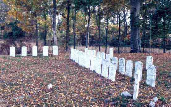 Good2 — The Goodman Cemetery of the Whiteway Community, Gibson County, Tennessee