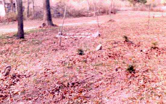 Indian — The Goodman Cemetery of the Whiteway Community, Gibson County, Tennessee