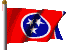 TN flag — Spring Hill Cemetery, Gibson Co TN