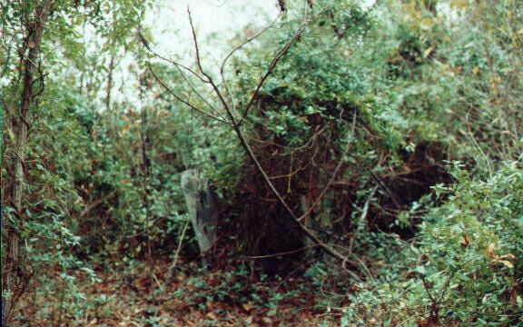 Bluff Springs 03 — Mapquest