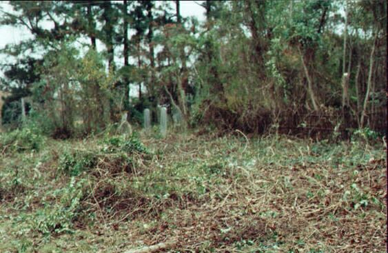 Bluff Springs 04 — Mapquest