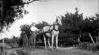 DudleyCensus — The 1900 Gibson County Tennessee Federal Census 12th Census of the United States